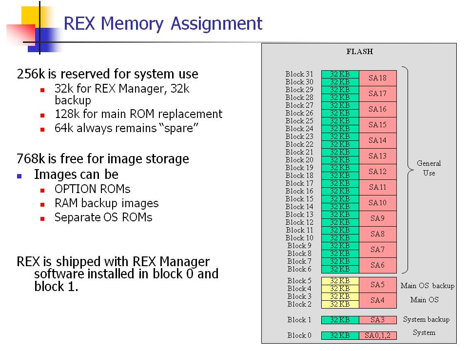 REX flash org.jpg